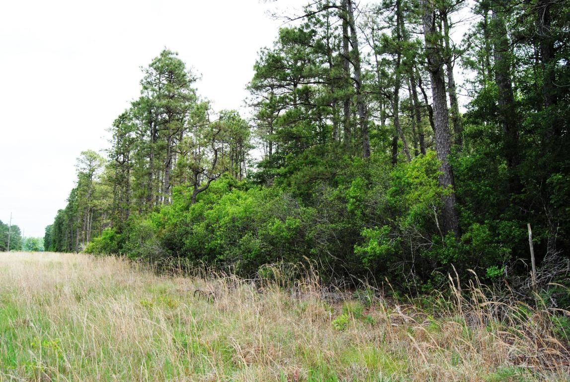 Multi Lots Timber Ln .: Multi Lots Timber Ln ., Richlands, NC 28574